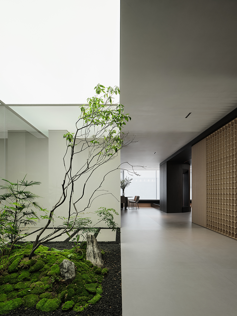 ALPHALUCE (2),ALPHALUCE (38),hp-1,